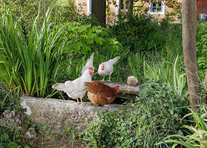 Guest house La Glaciere - Ostalaria Agricol