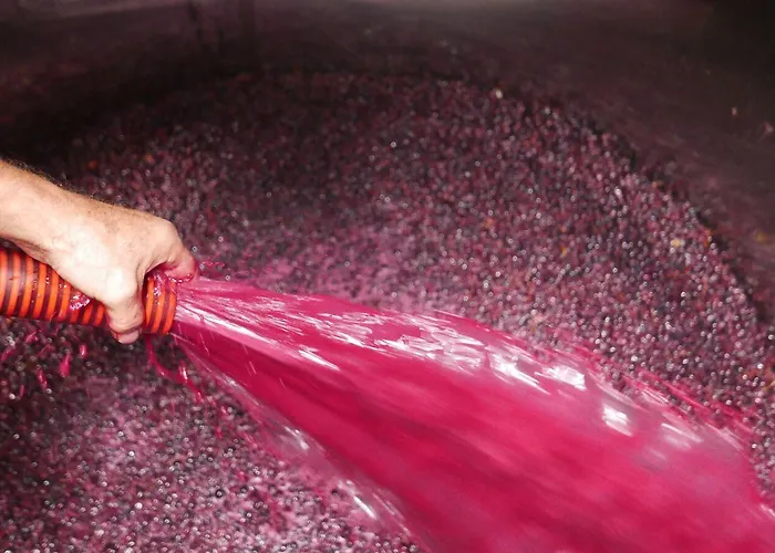 La Glaciere - Ostalaria Agricol Penzion 4*